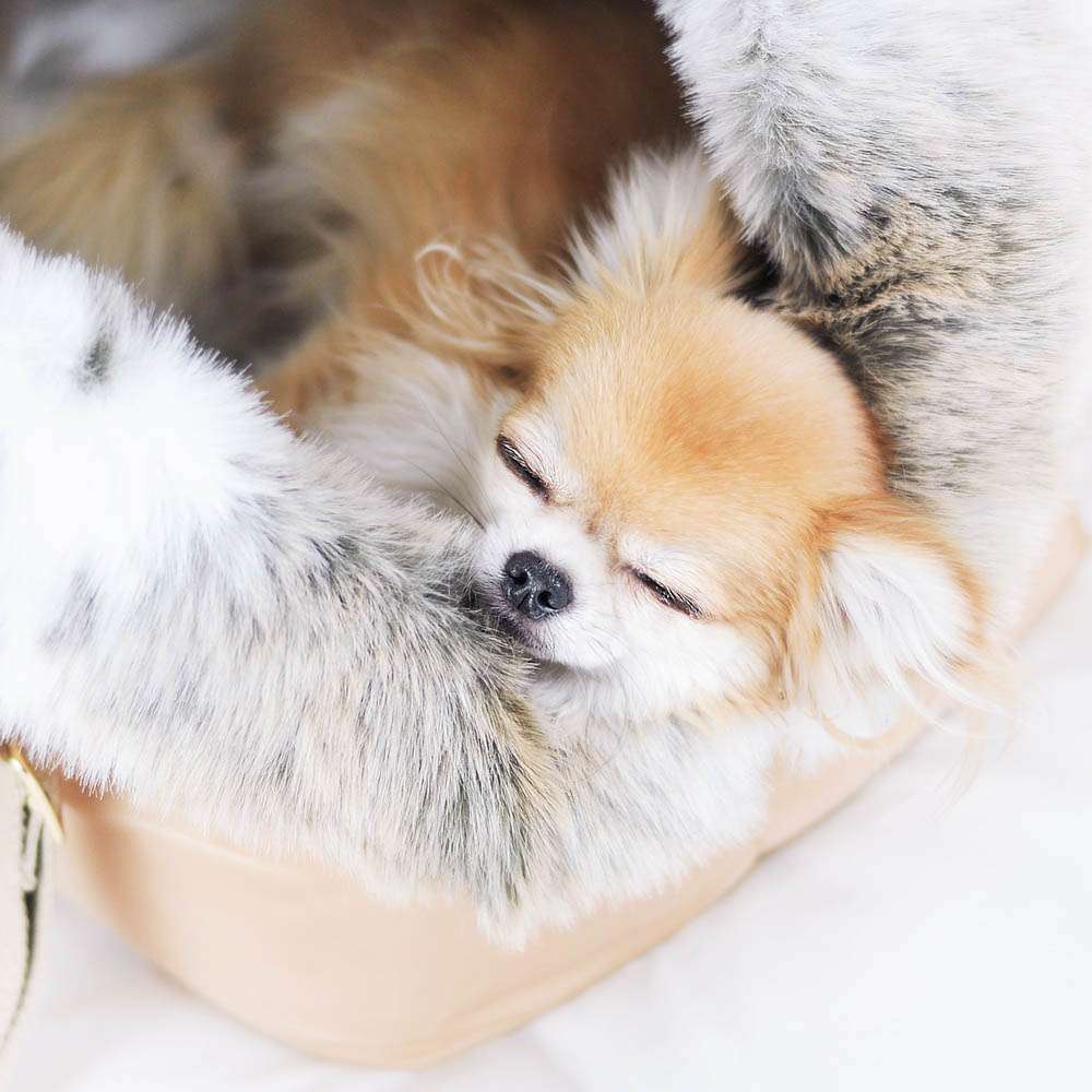 Porte-bébé de luxe Suzy's Fashion Cupido - Beige