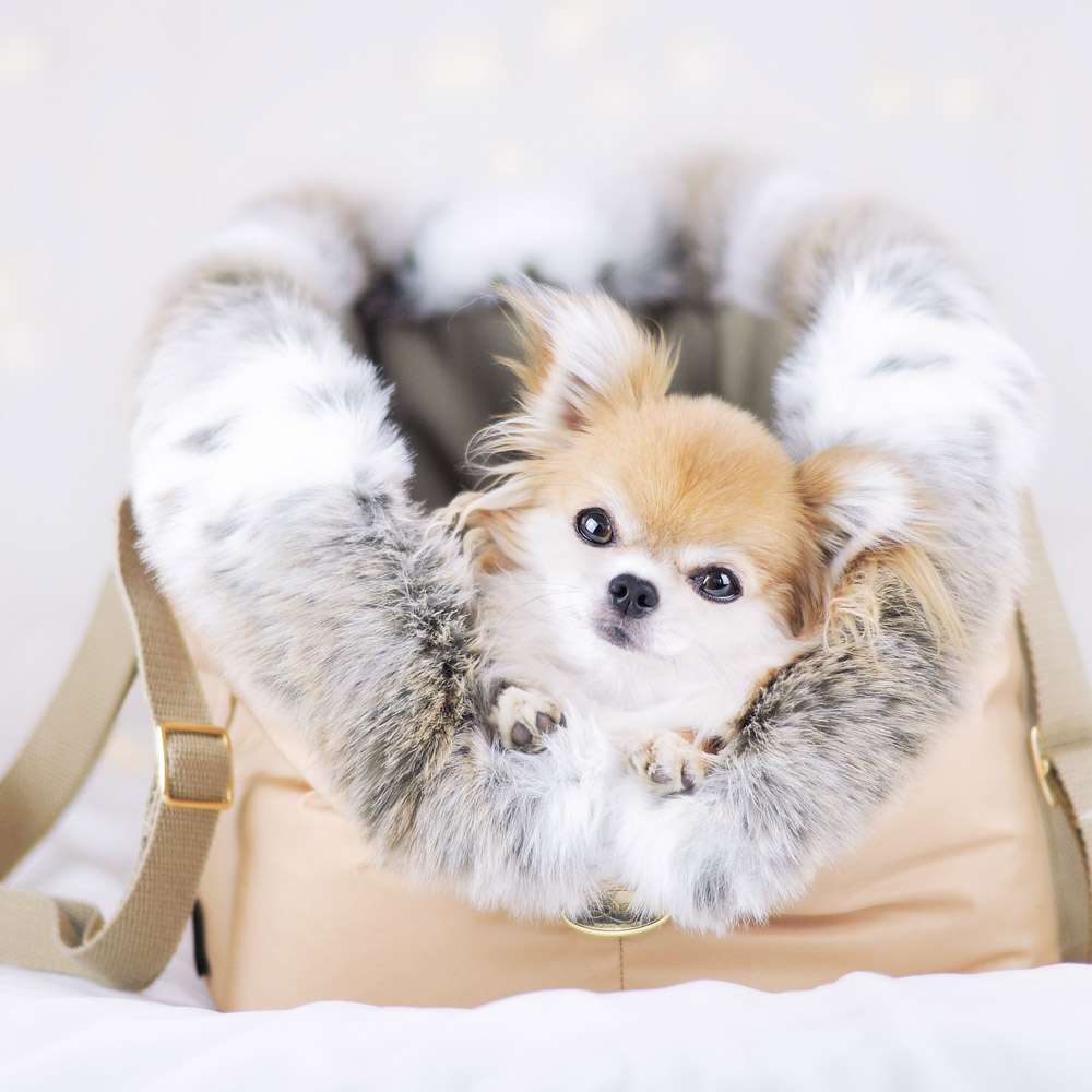 Porte-bébé de luxe Suzy's Fashion Cupido - Beige