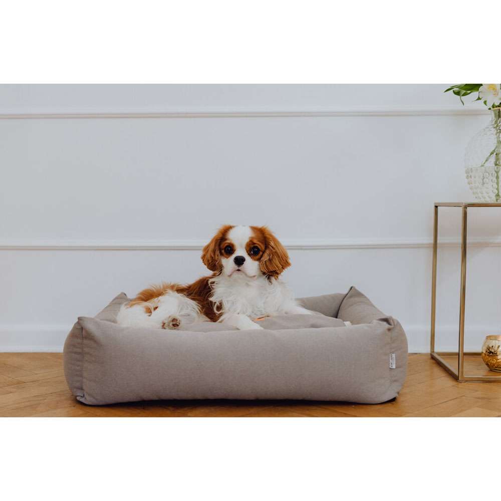 Lit pour chien Platinum COSMOPOLITAN de Bowl & Bone