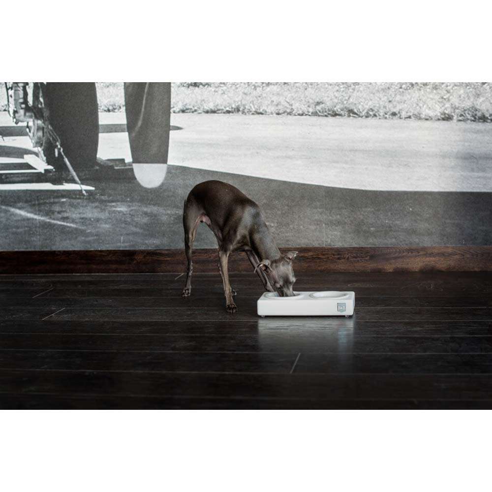 Jasmine DUO CERAMIC Dog Bowl from Bowl & Bone