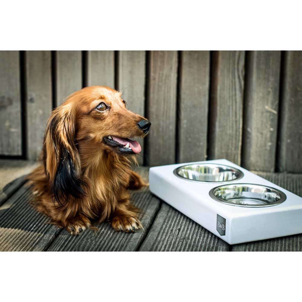 Gamelle pour chien DUO grise de Bowl & Bone
