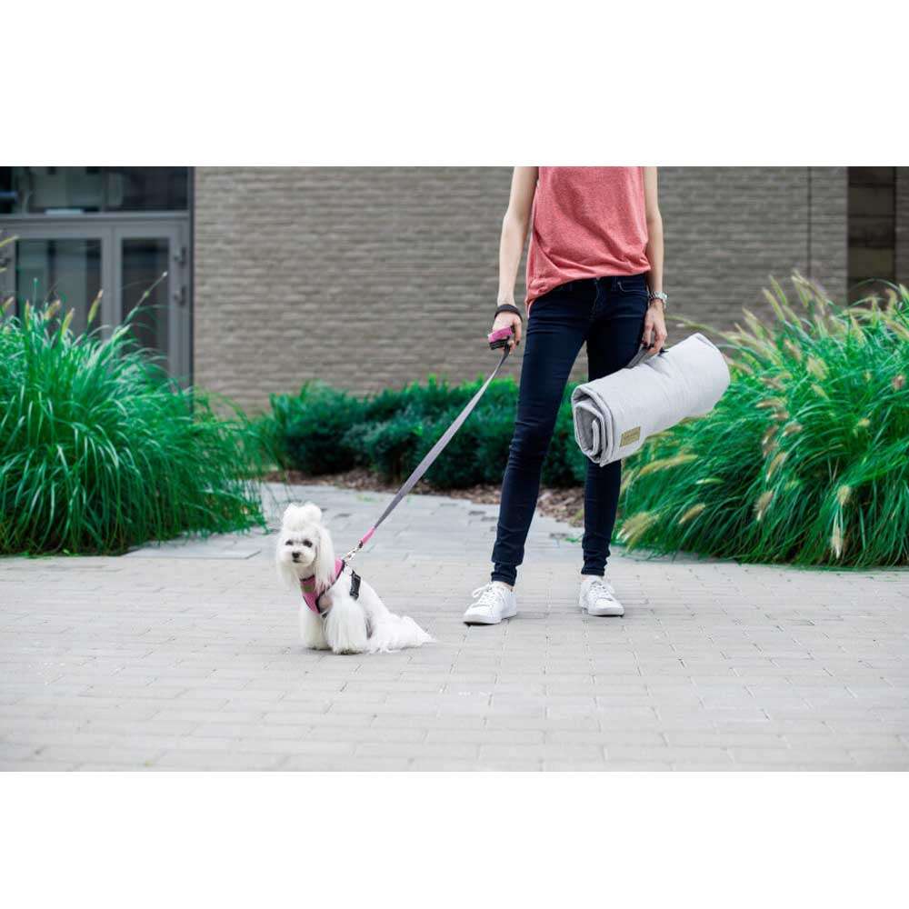 Pink CANDY Dog Harness from Bowl & Bone