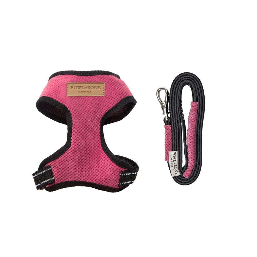 Pink CANDY Dog Harness from Bowl & Bone
