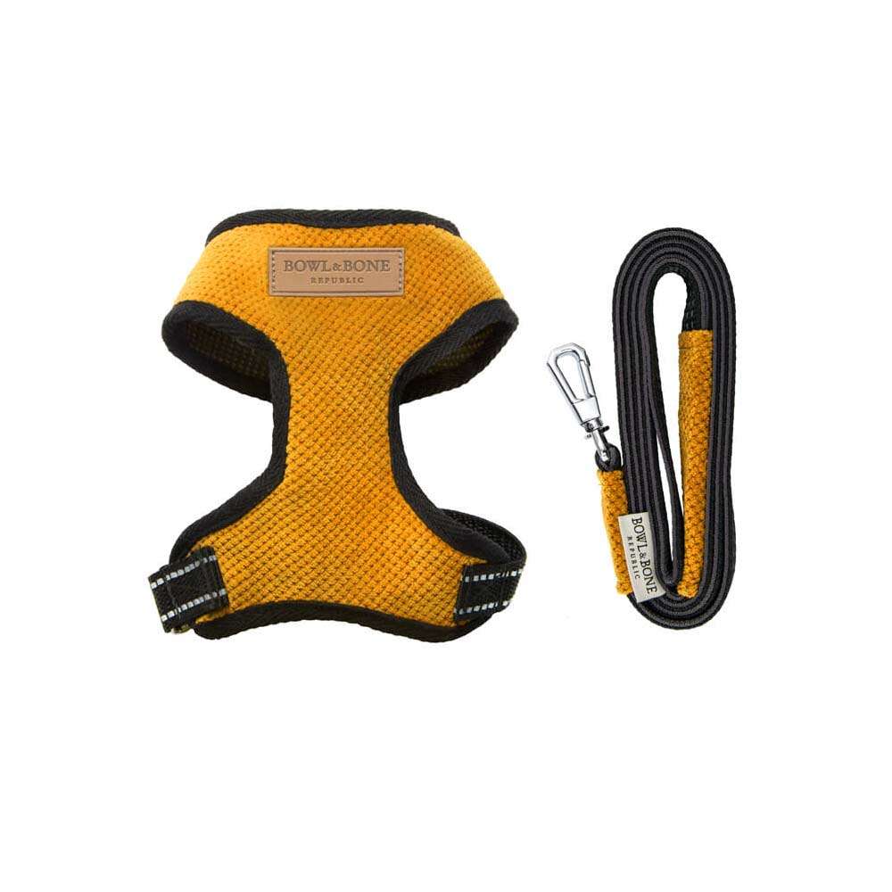 Yellow CANDY Dog Harness from Bowl & Bone