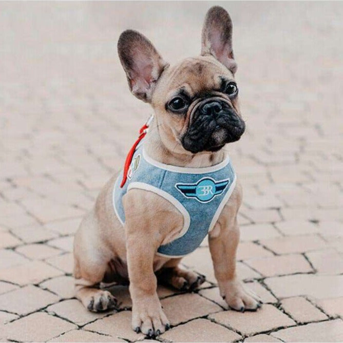 Harnais pour chien DENIM bleu de Bowl & Bone