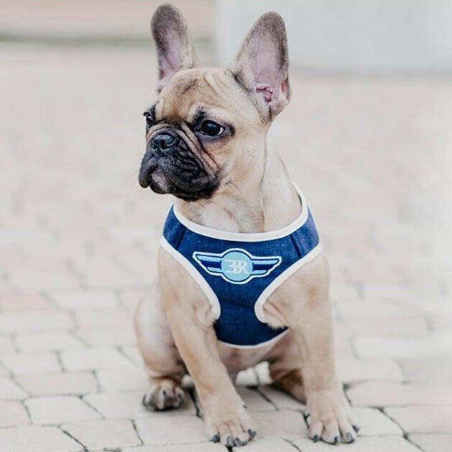 Harnais pour chien DENIM bleu marine de Bowl & Bone