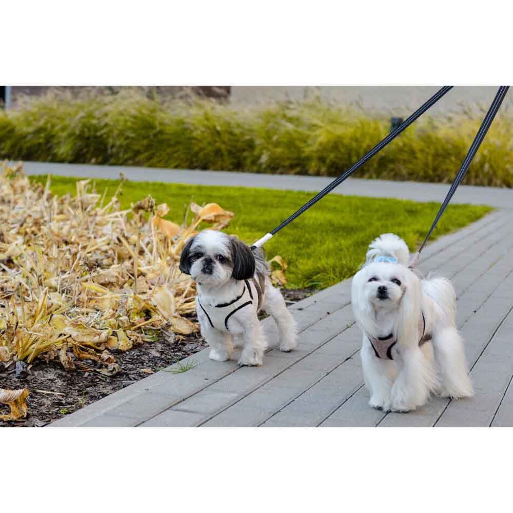 Harnais pour chien Rose SOHO de Bowl & Bone