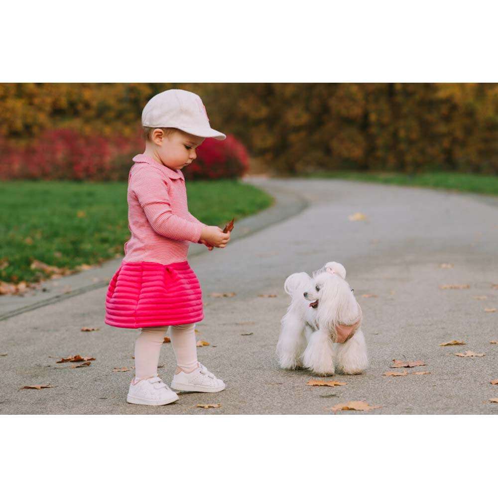 Rose YETI Dog Harness from Bowl & Bone
