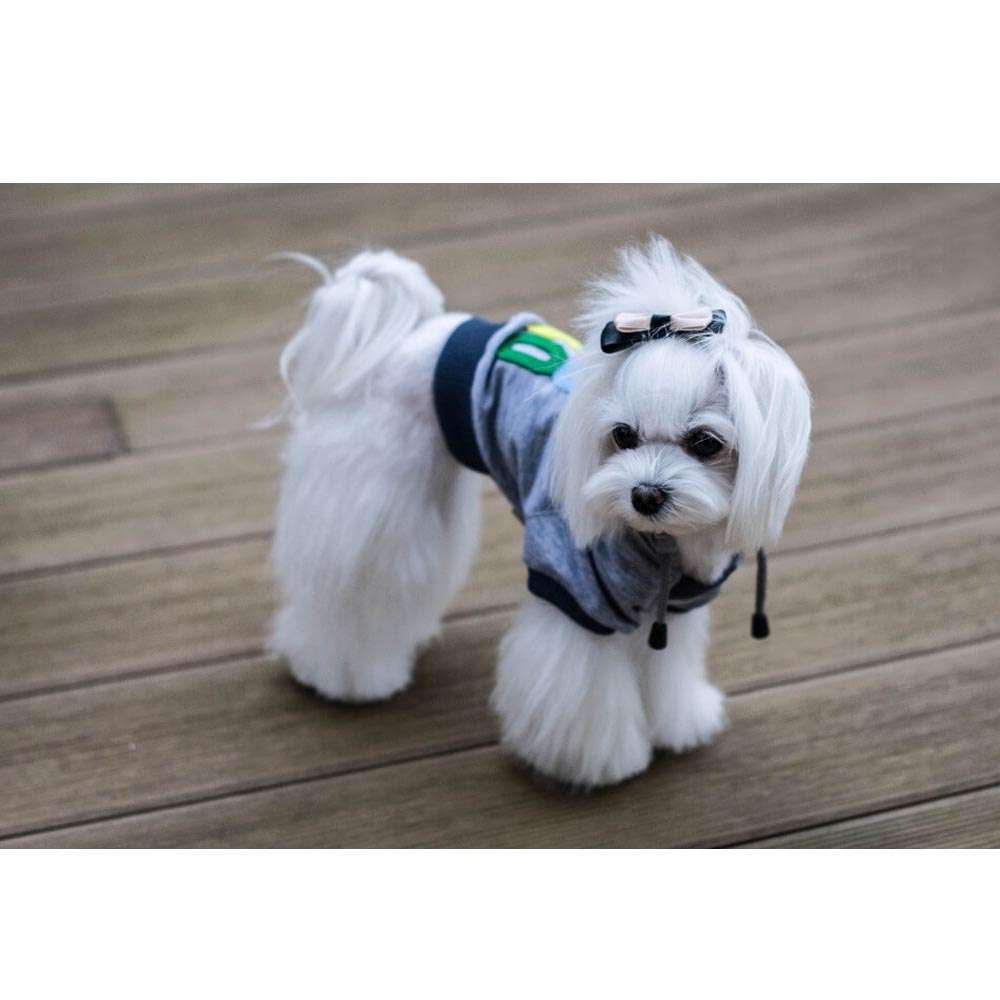 Sweat à capuche gris pour chien YOLO de Bowl & Bone