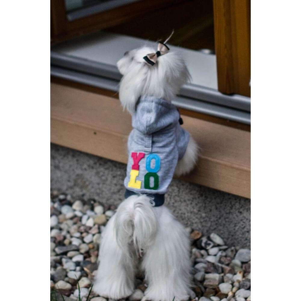 Sweat à capuche gris pour chien YOLO de Bowl & Bone