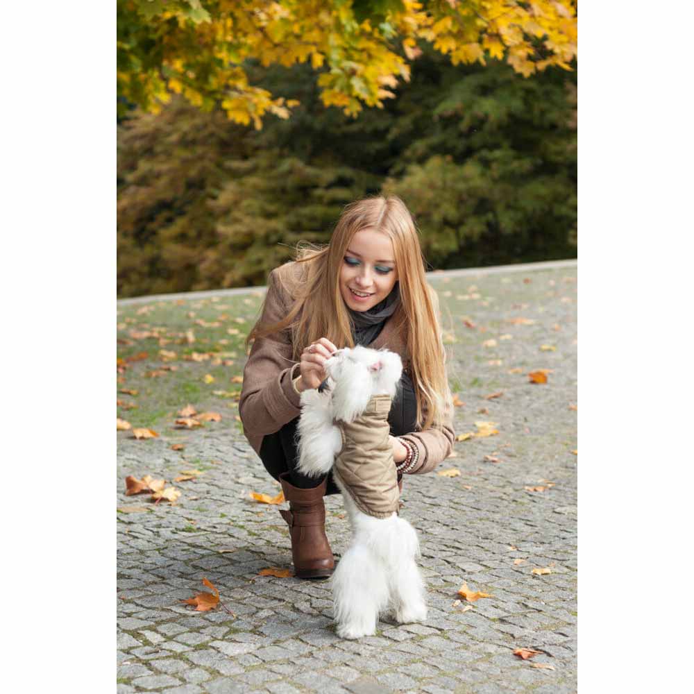 Veste pour chien Gold SPIRIT de Bowl & Bone
