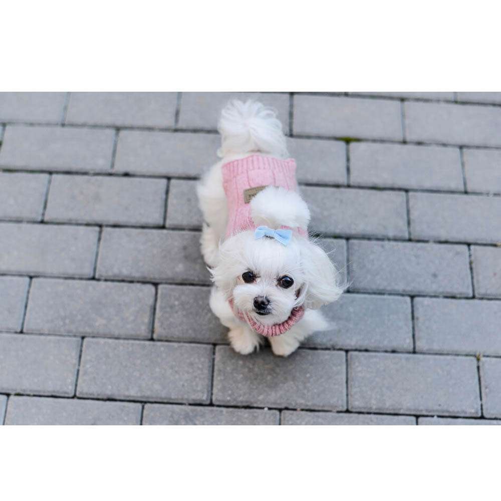 ASPEN Hundepullover in Rosa von Bowl & Bone