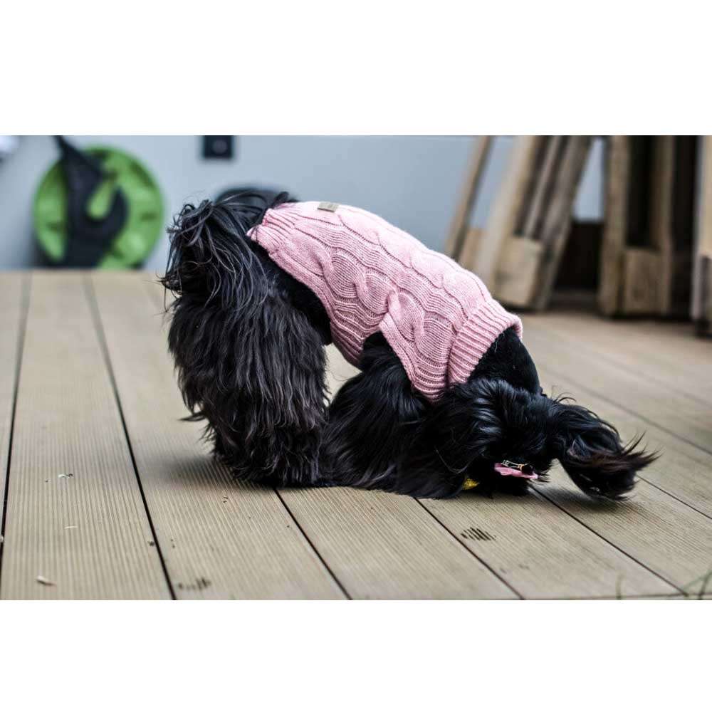 ASPEN Hundepullover in Rosa von Bowl & Bone