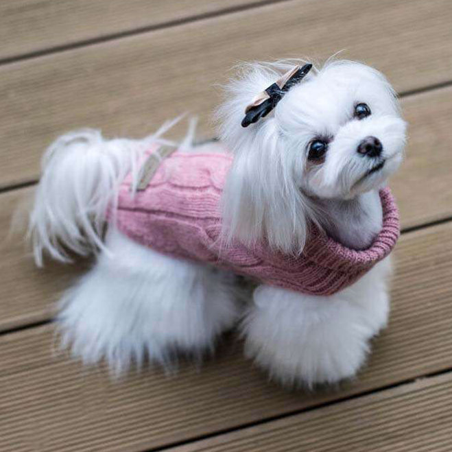 ASPEN Hundepullover in Rosa von Bowl & Bone