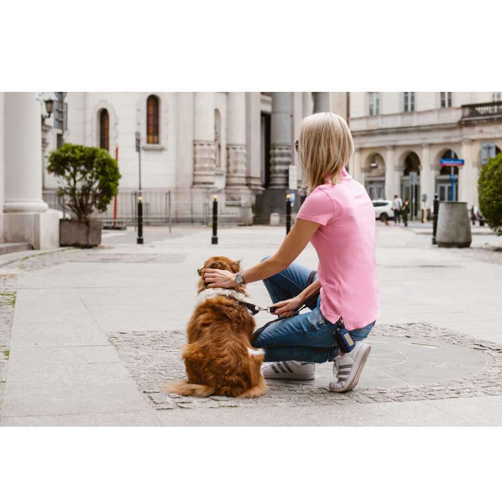 Navy MINI Dog Waste Bag Holder from Bowl & Bone