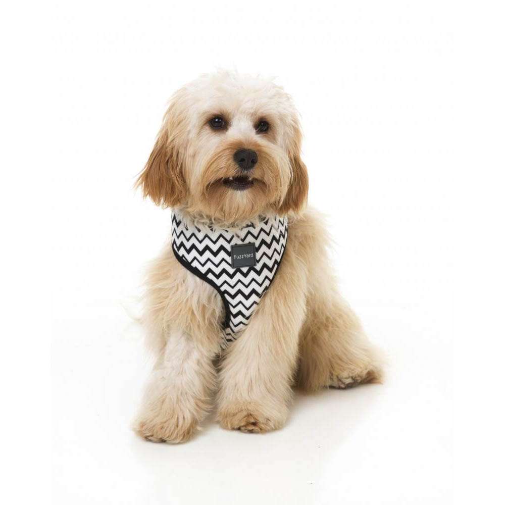 Harnais pour chien FuzzYard OK OK