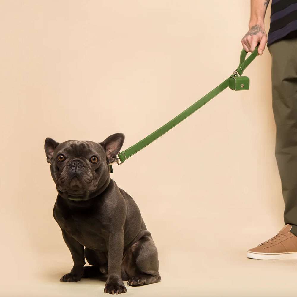 Vegan Apple Leather Poo Bag Holder