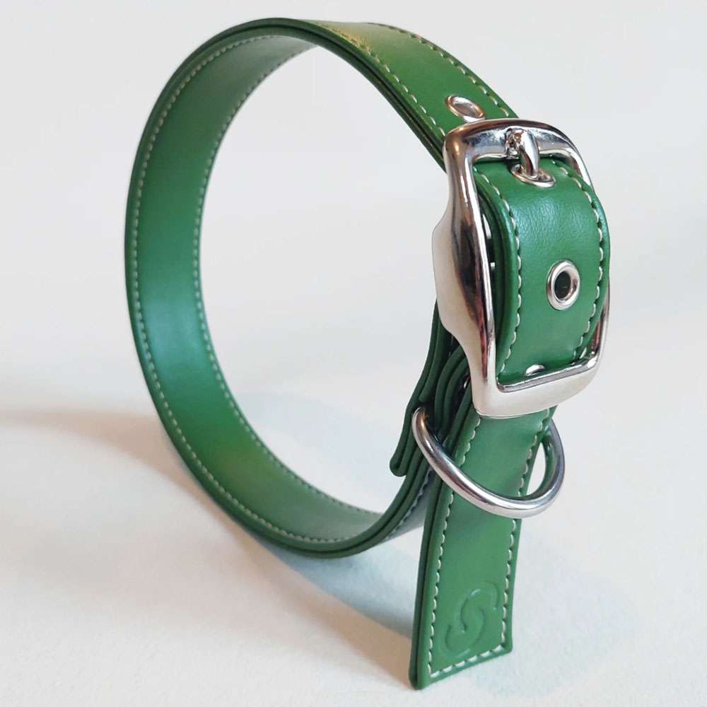 Forest Green Vegan Apple Leather Dog Collar