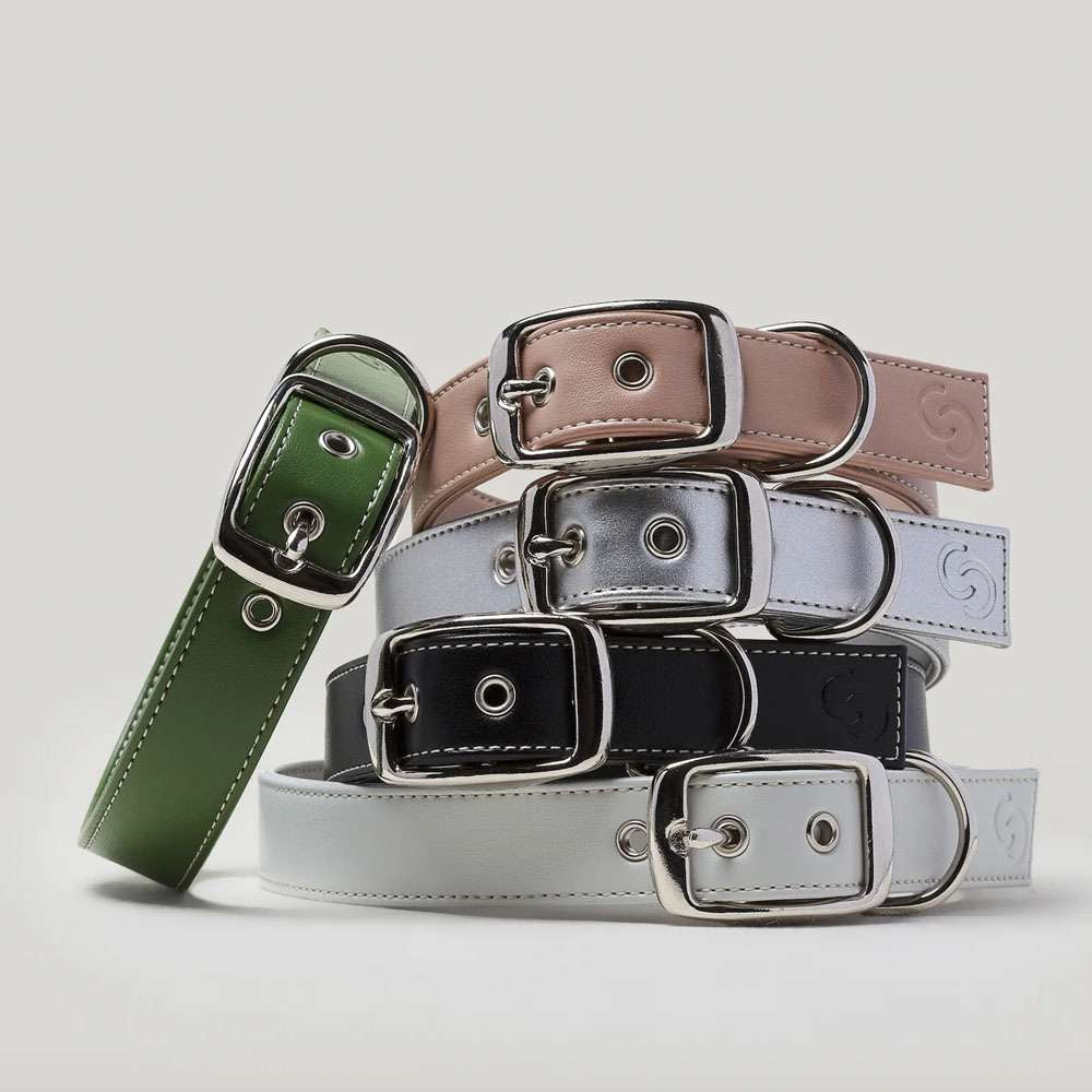 Forest Green Vegan Apple Leather Dog Collar