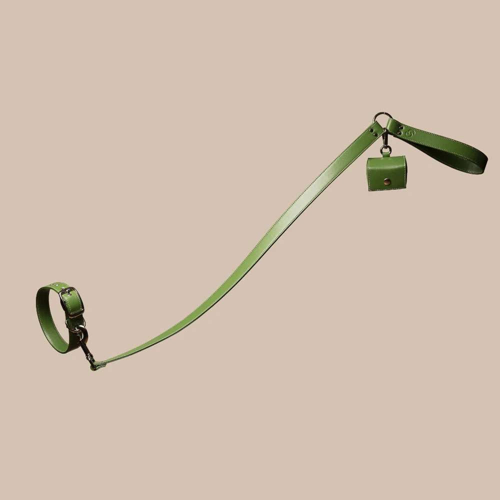 Laisse pour chien originale en cuir de pomme végétalien vert forêt