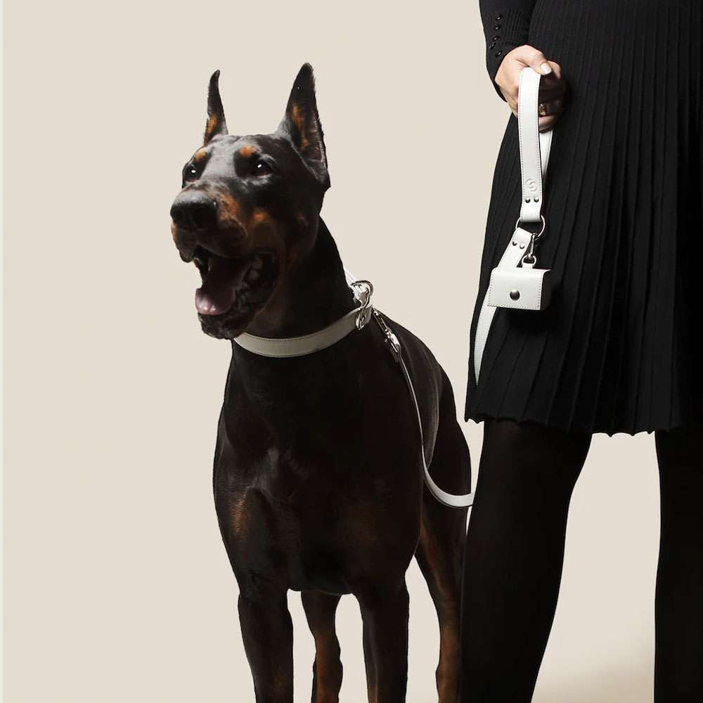 Ice Blue Vegan Apple Leather Original Dog Lead