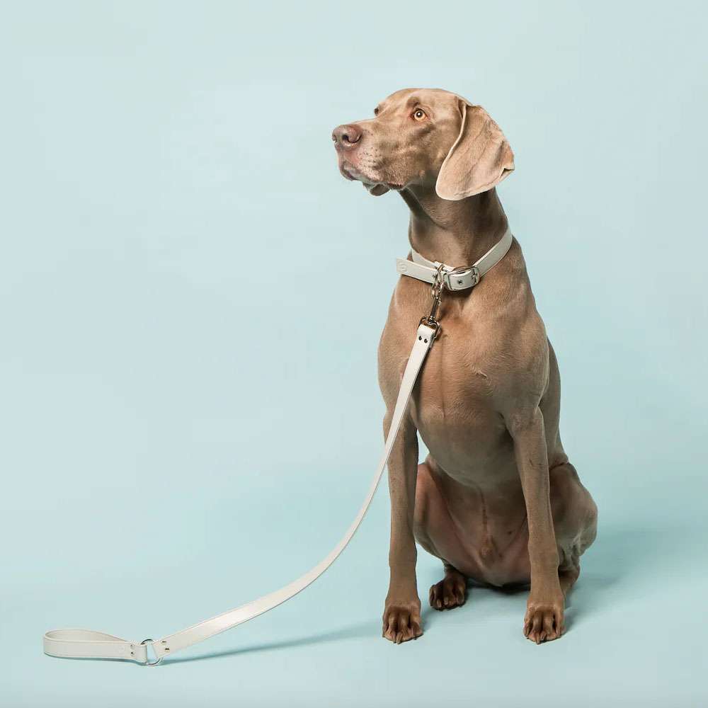 Ice Blue Vegan Apple Leather Original Dog Lead