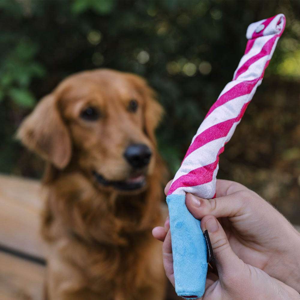 PLAY Party Time Raise The Woof Party Horn Jouet en peluche pour chien
