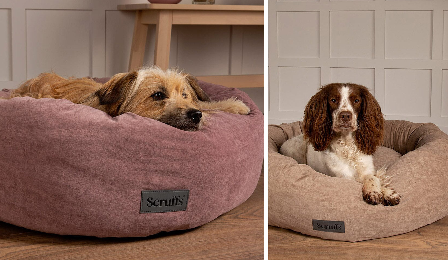 Choosing the right Dog Bed