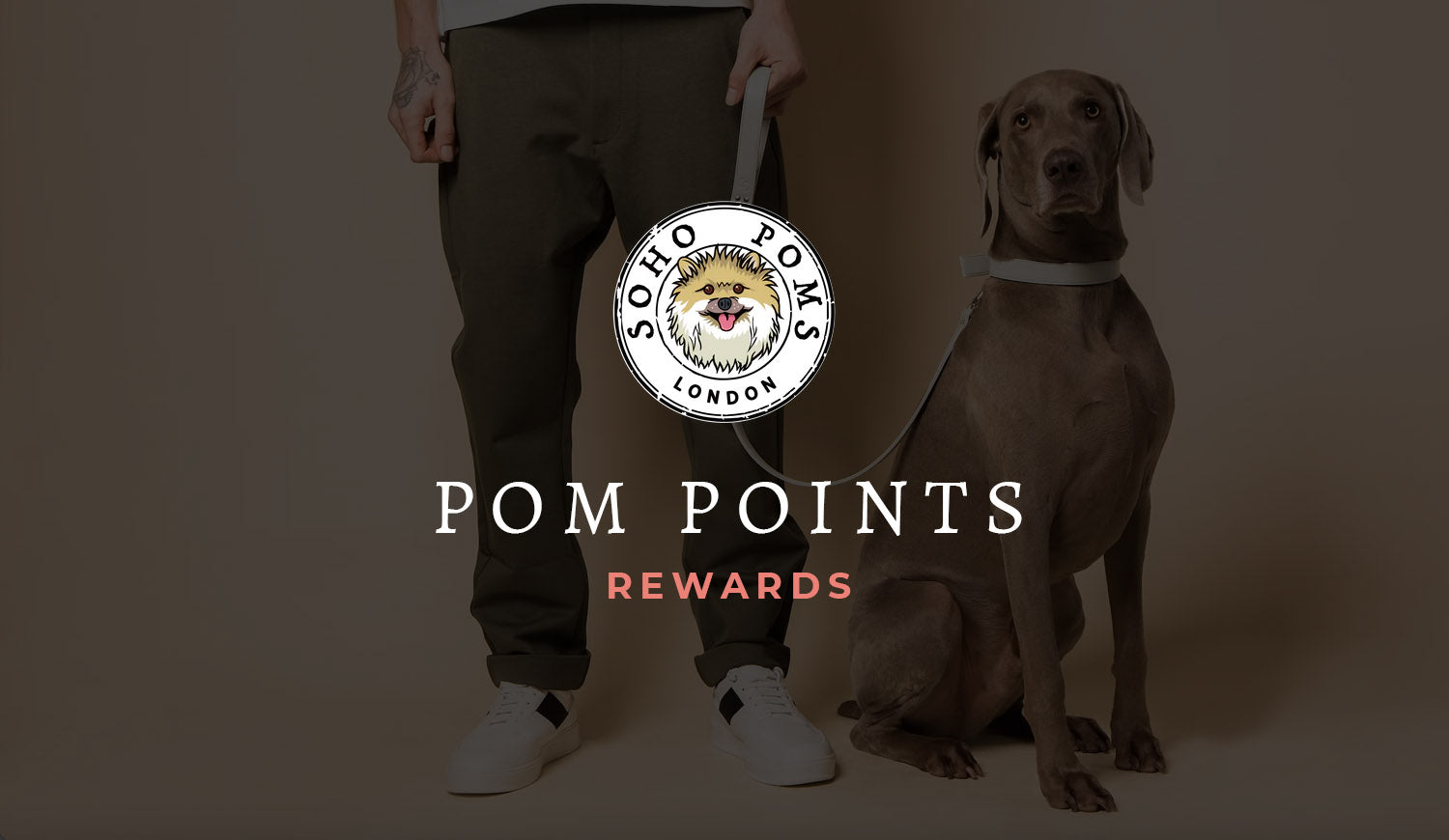 Pom Points Rewards