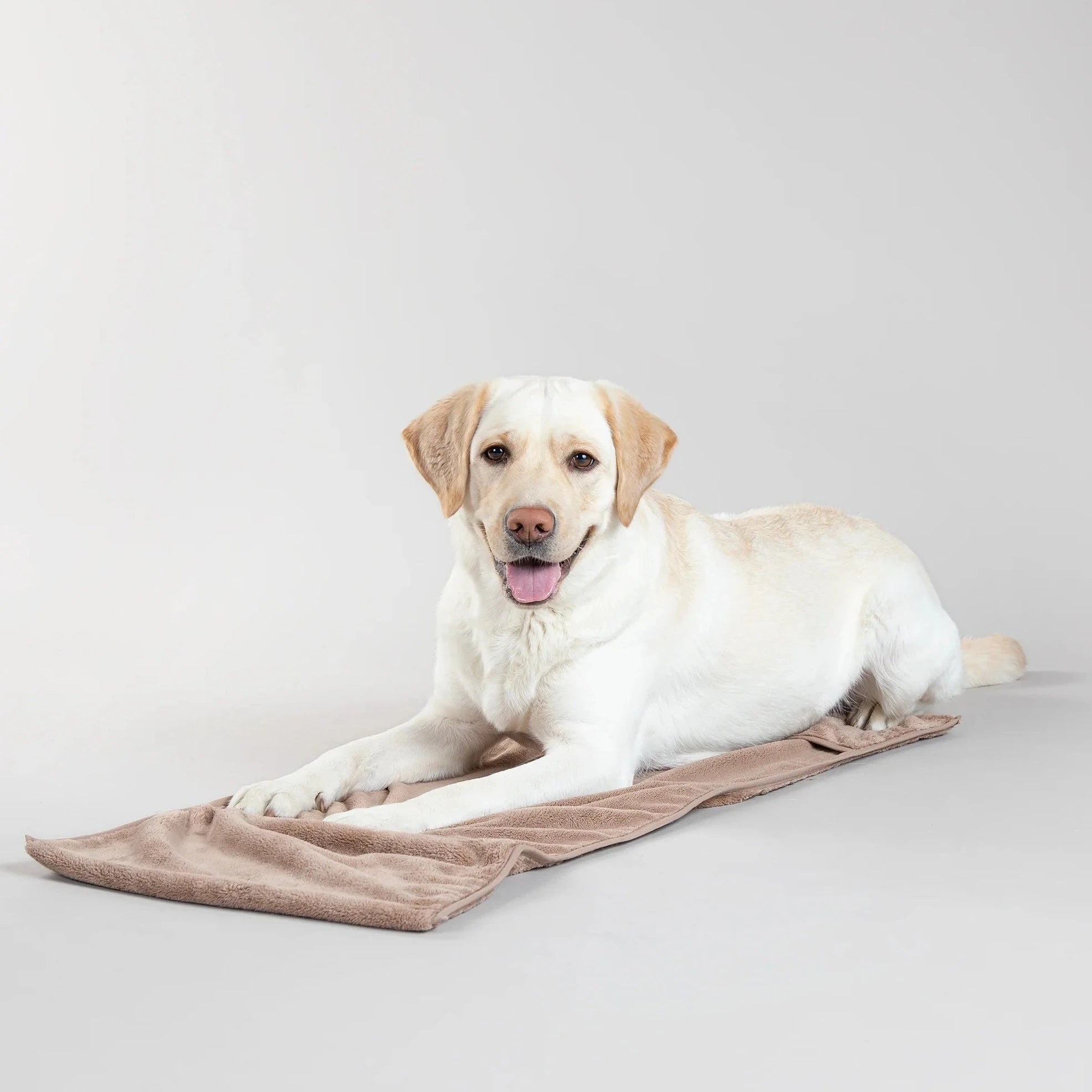 Drying Towel for Dogs 40x110cm by Paikka