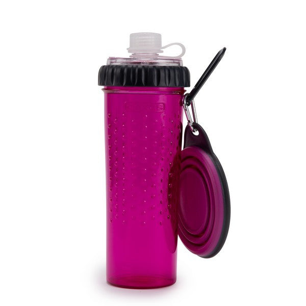 Dexas Snack-DuO with Companion Cup Pro - Fushsia