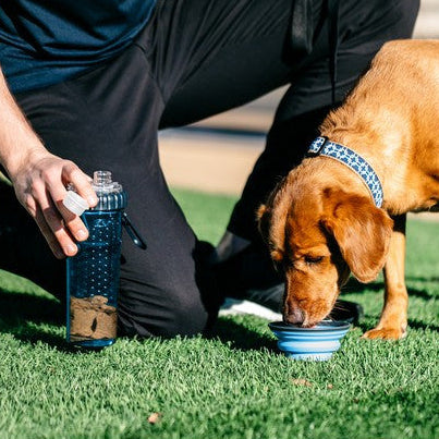 Dexas Snack-DuO with Companion Cup Pro Blue