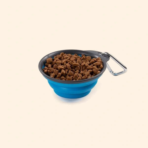 Dexas Collapsible Travel Cup Small Pro - Blue