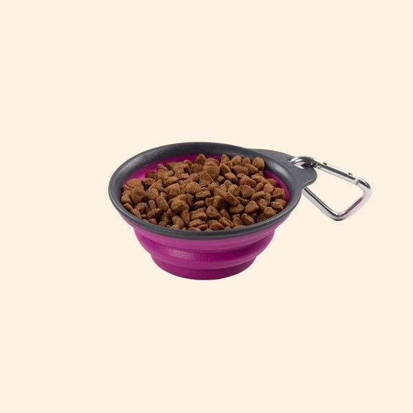 Dexas Collapsible Travel Cup Large Fuchsia