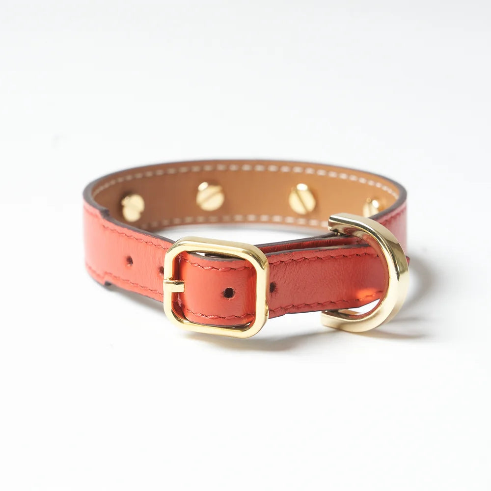 Amati Red Luxury Dog Collar