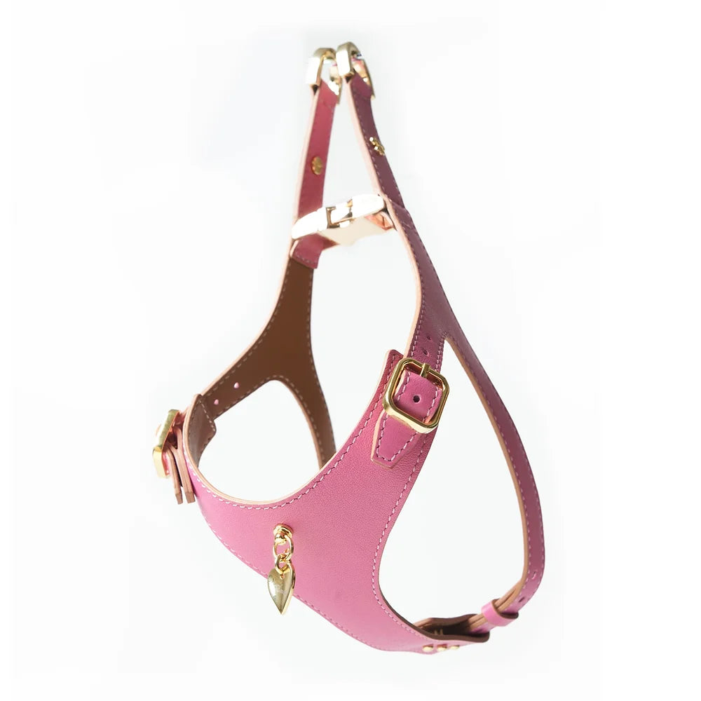 Amati Pink Luxury Dog Accessory Set