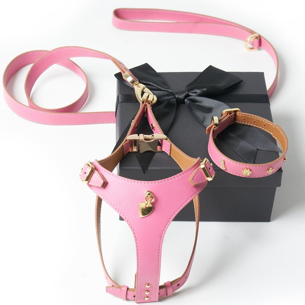 Amati Pink Luxury Dog Accessory Set