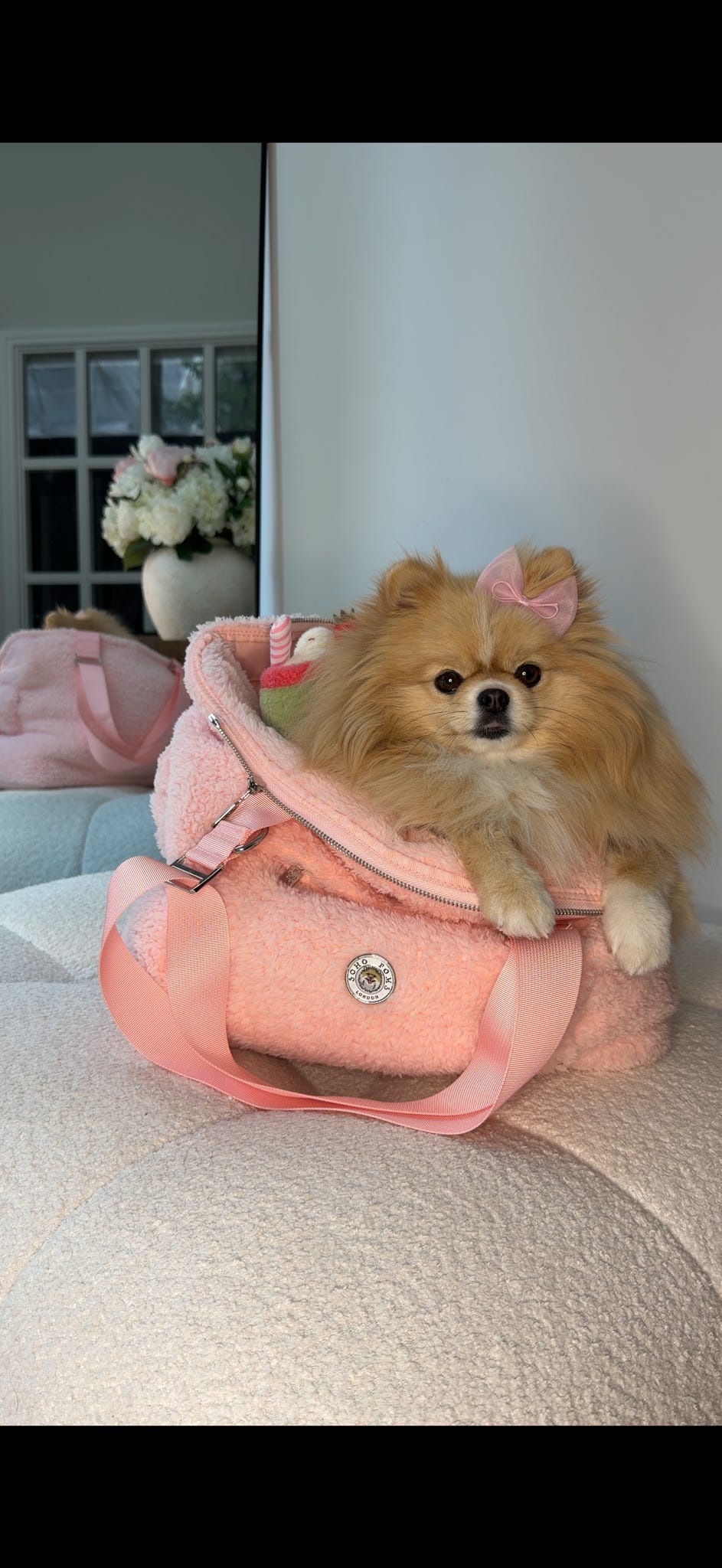 Blush Rose | Carnaby Dog Carrier