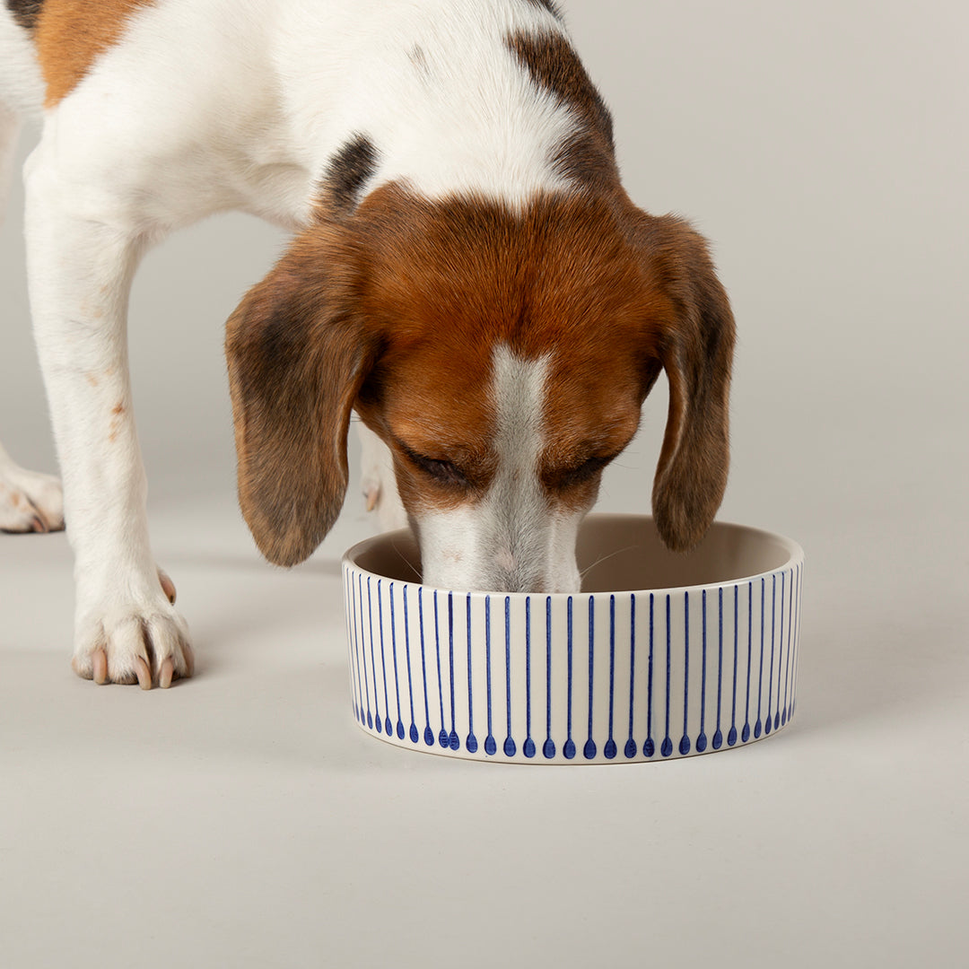 Scruffs® Coastal Food Bowl - 19cm