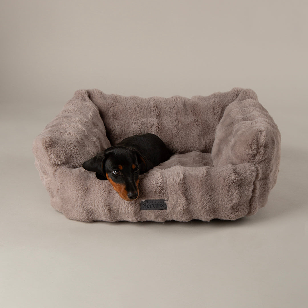 Scruffs® My First Box Bed - Grey