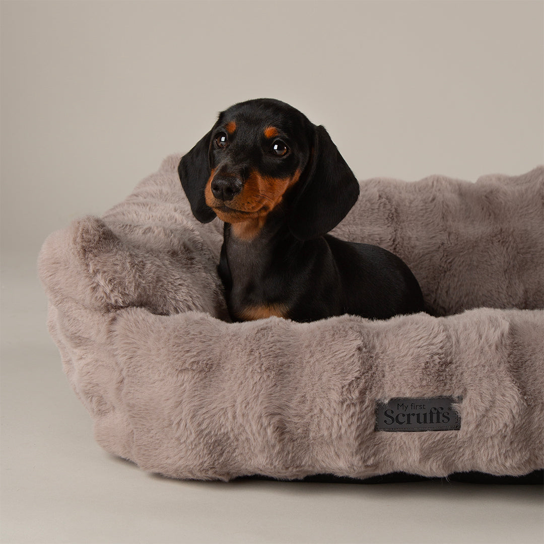 Scruffs® My First Box Bed - Grey