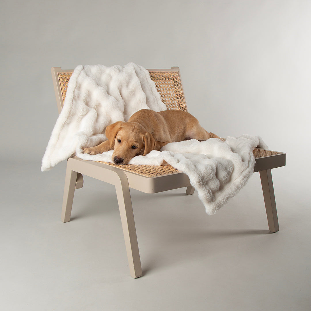 Scruffs® My First Blanket - Cream