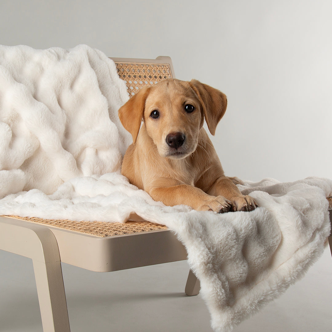 Scruffs® My First Blanket - Cream