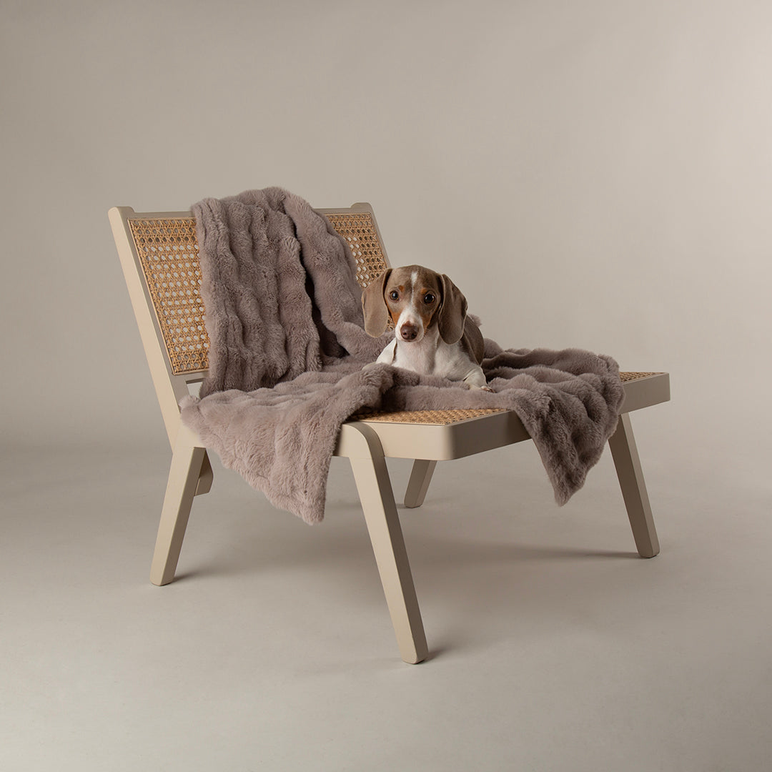 Scruffs® My First Blanket - Grey