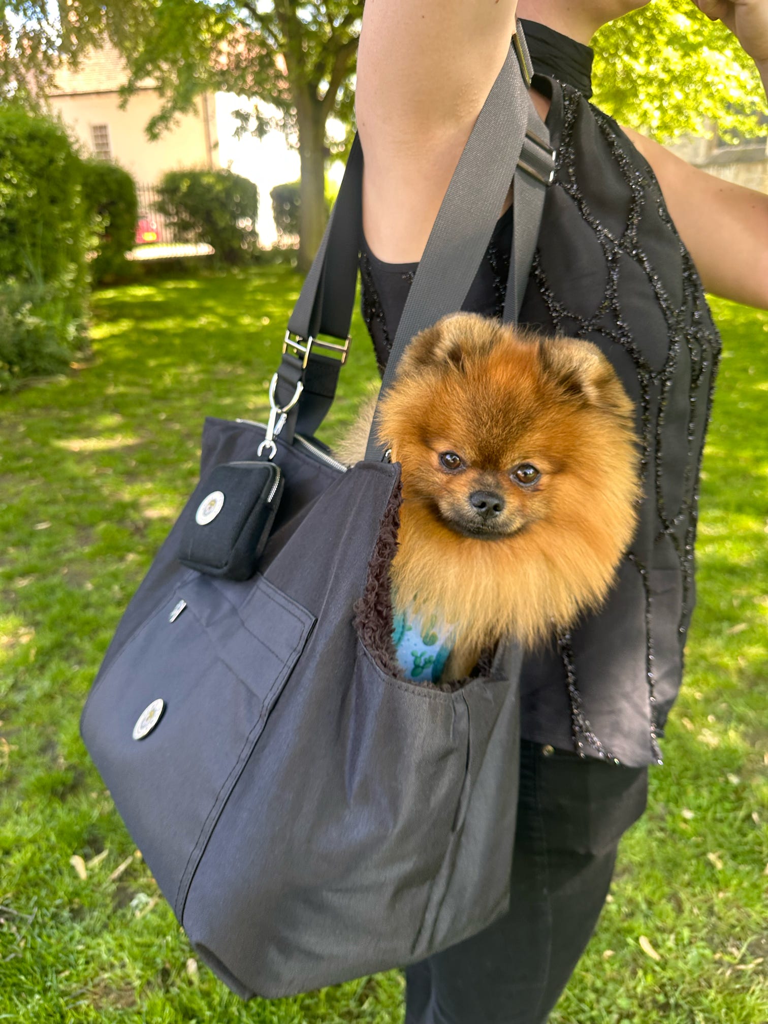 Porte-chien Suzy's Fashion Rainy Bear noir et rose