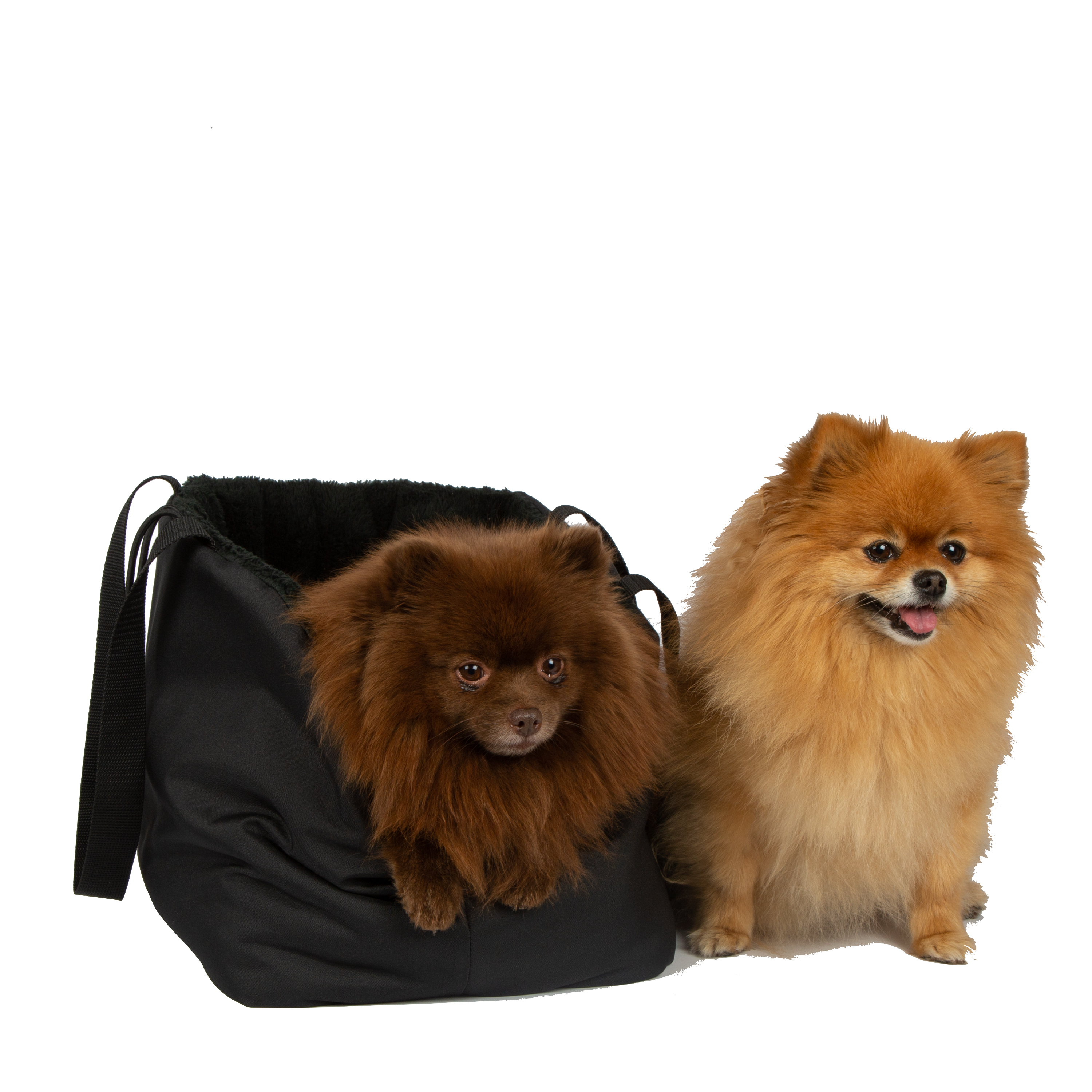Dog Carrier Bag Rainy Bear Black by SohoPoms