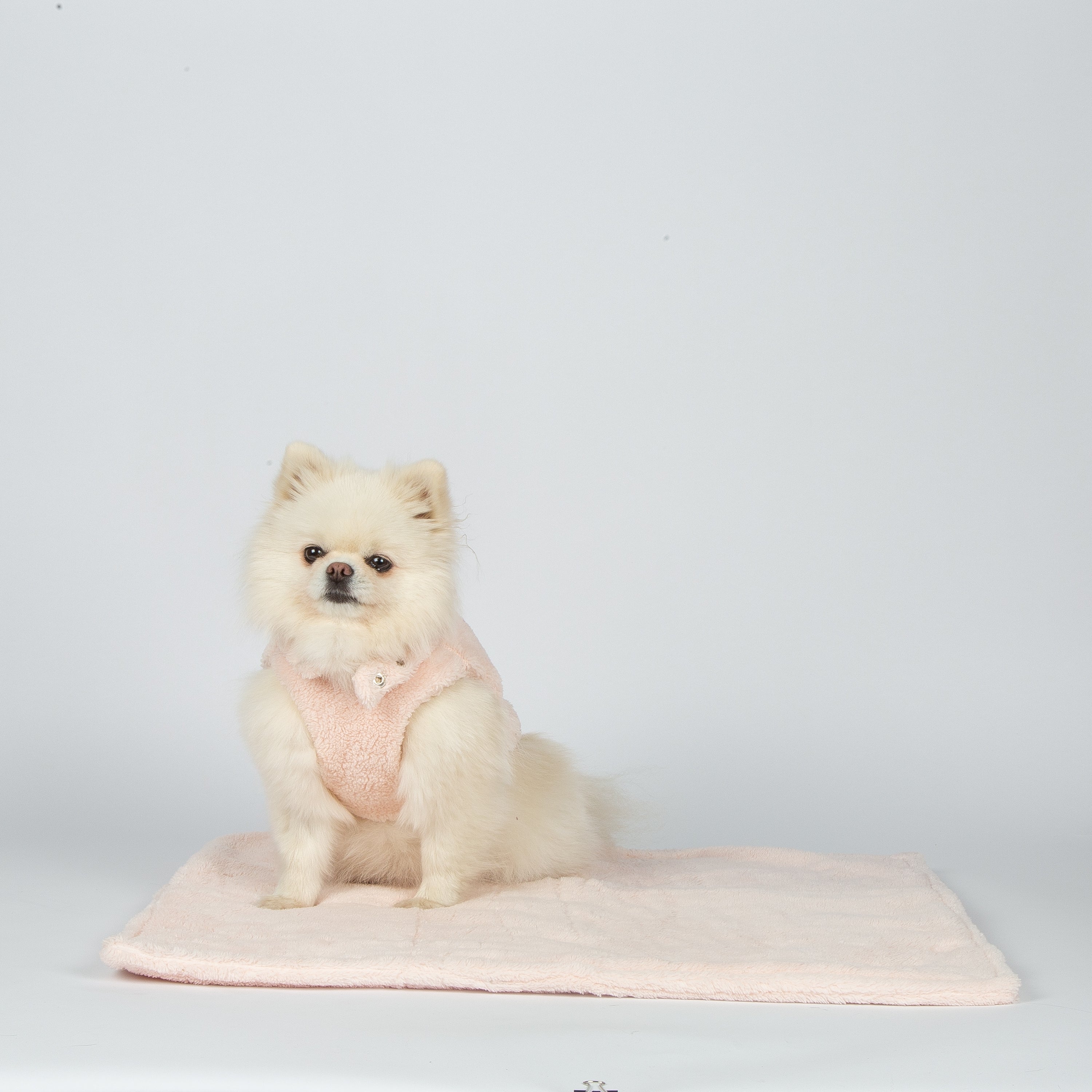Teddy Bear Harness Jacket by SohoPoms *Limited Edition