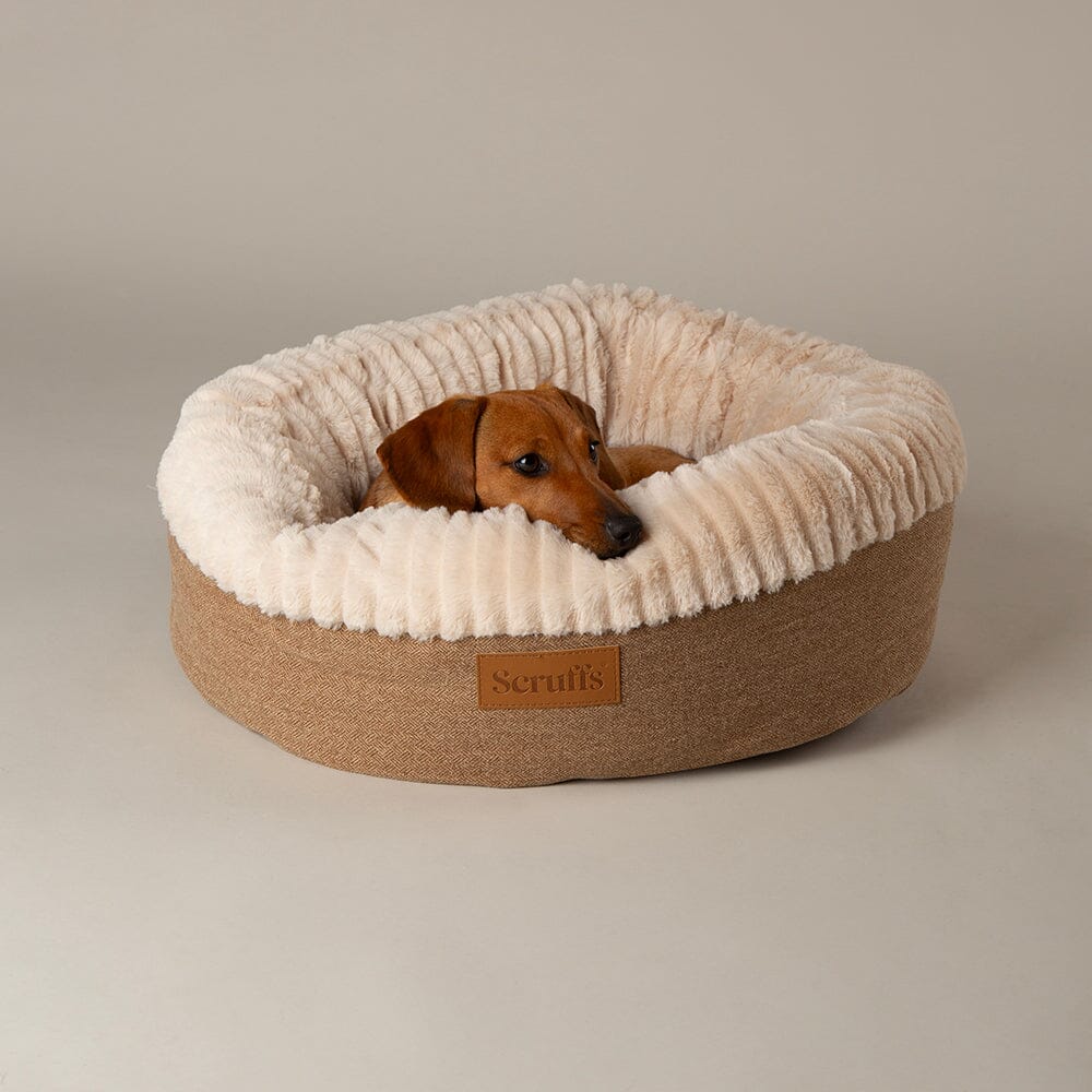 Scruffs Ellen Donut Bed - Tan