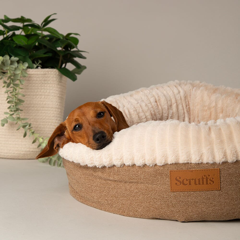 Scruffs Ellen Donut Bed - Tan