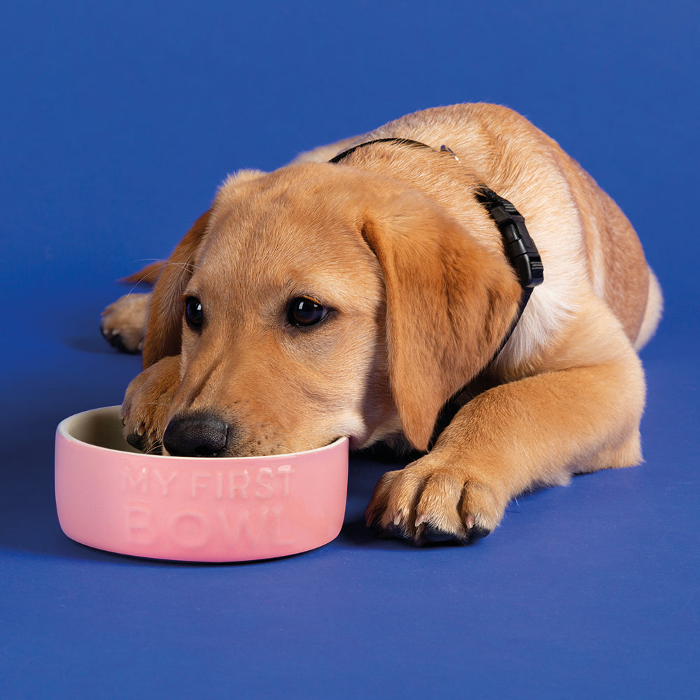Scruffs® My First Bowl 13cm - Pink